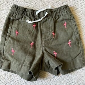 Janie and Jack Olive Shorts with Embroidery boys 6-12 months